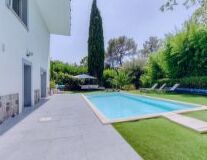 tree, outdoor, swimming pool, grass, plant, palm tree, house